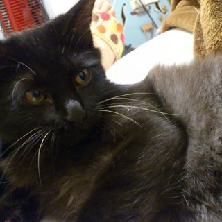 甘えん坊の男の子！