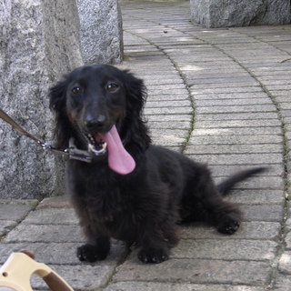 甘えたの僕ちゃんです