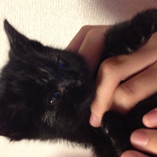 候補の方が見つかりました。面談後決定