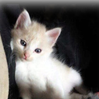 沢山のご応募ありがとうございました！