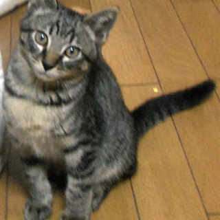 遊びが一番　ボッボです