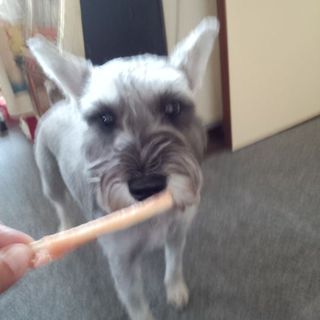 一時募集を停止させて貰います。（メール返信も出来ません）