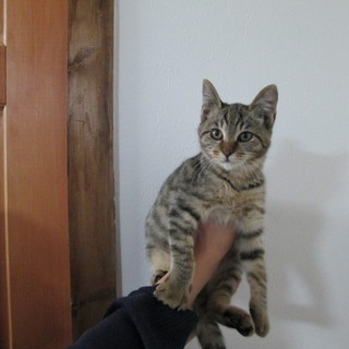 とても良いご縁がありました。ありがとうございました。