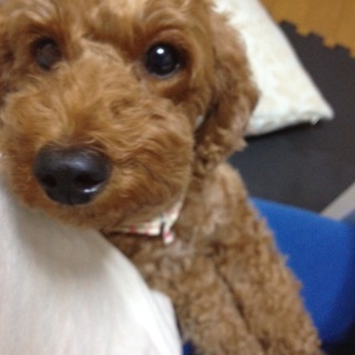 家族として迎え入れて下さる方。