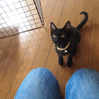 もうすぐ４ヶ月（女の子）