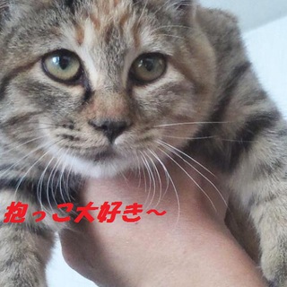 抱っこ大好き♪