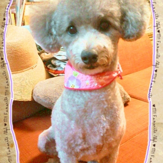 たくさんの問い合わせ本当にありがとうございました。