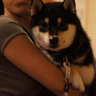 すぐにトレーニングしてくれる方　