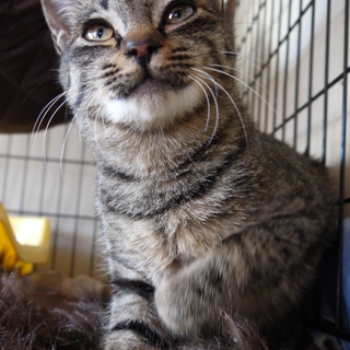 ハンサムボーイのインフィニティ　フミフミが得意です♪