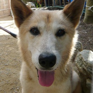 虹の橋へ旅立ちました