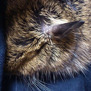 ありがとうございました！☆