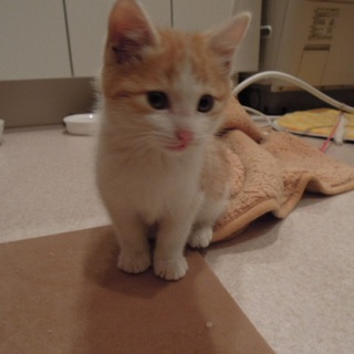 今何人かの方々からありがたいことにメールをいただいております