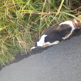 温かく迎えてくださる方お願いします。