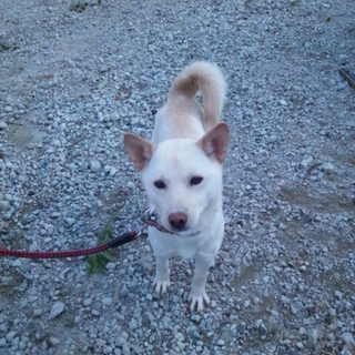 おとなしい、かわいい女の子おかあさん