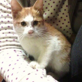 ありがとうございました！