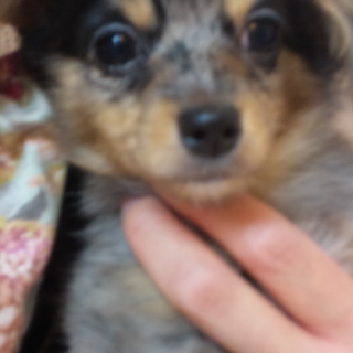 体調を崩してしまい中止させていただきます。