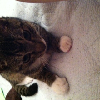 ありがとうございました！