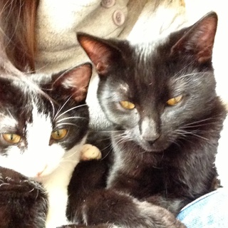 里親さん募集★