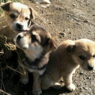 みんな、おうち決まりました！！