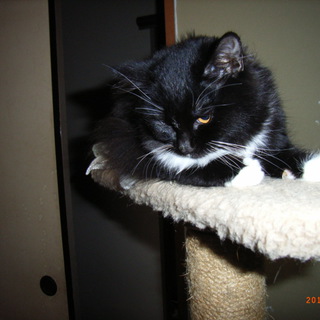 大切に育てて頂けませんか。