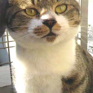 超甘えん坊１歳かんたくん