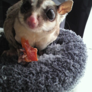 素敵なご家族に出会いました。ありがとうございます