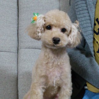 応募殺到につき募集を締め切らせて頂きます