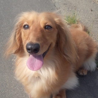 窶板｢ﾂ親ﾅ塚・凖ｨ窶堋ｵ窶堙懌堋ｵ窶堋ｽﾂ！