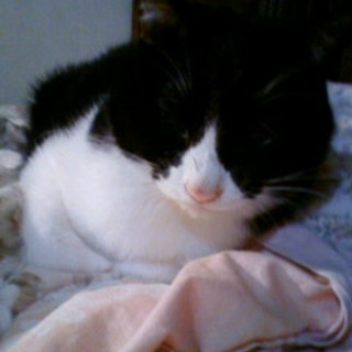 可愛がってください！！！