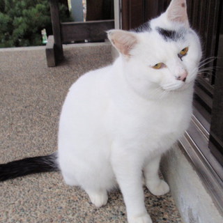 体調不良の為、募集終了します