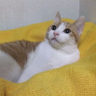 ＠＠うつむき加減の恥ずかしがり屋さん＠＠