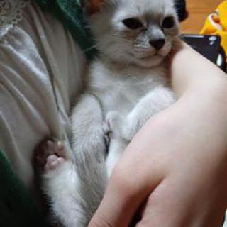 とっても甘えん坊な男の子です♪