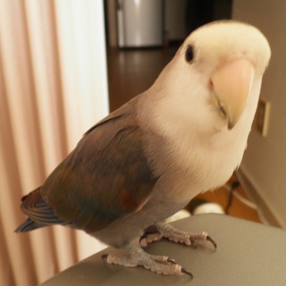 たくさんのご応募ありがとうございました!!