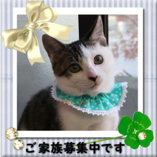 元気いっぱい男の子