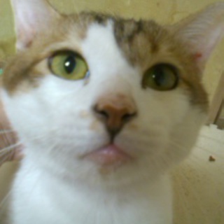 可愛がって下さる方