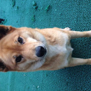 募集頂いた方と相談中の為