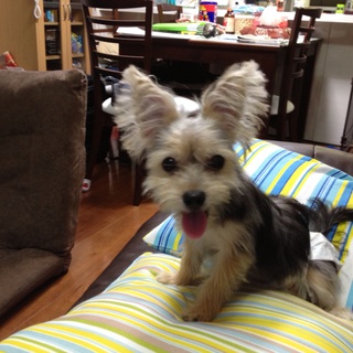 沢山のメッセージありがとうございました。