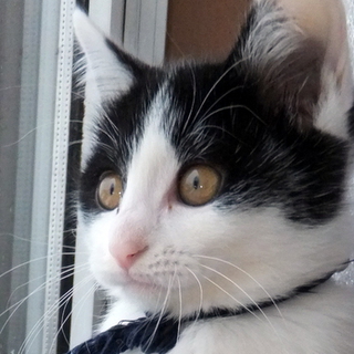 素敵な縁に恵まれました！