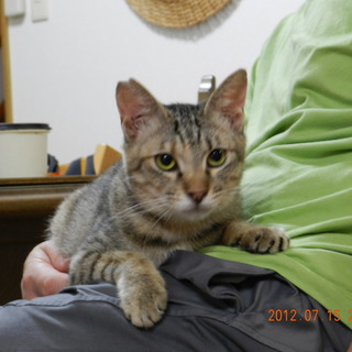 抱っこ大好きハナちゃん