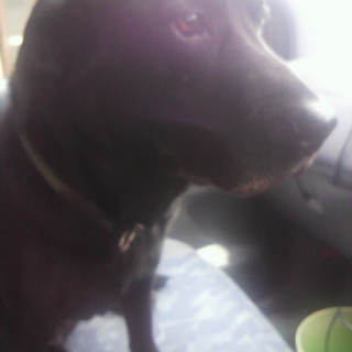 12月１１日よりトライアル予定☆募集一時停止