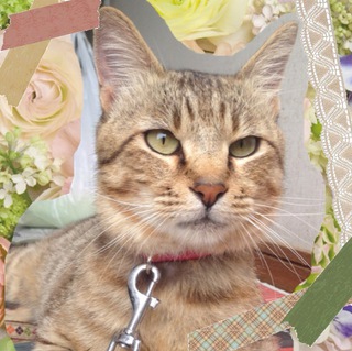 イケメン叶（かない）君