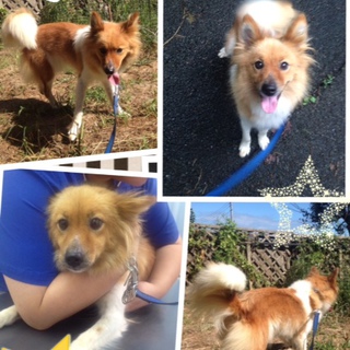 置き去りの愛（まな）ちゃん