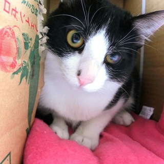 「みく君（仮名）」７ヶ月