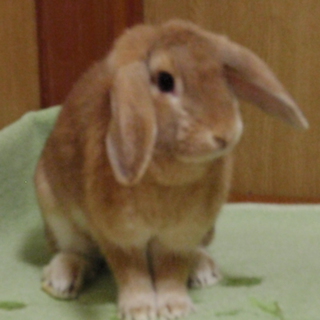 ありがとうございました。