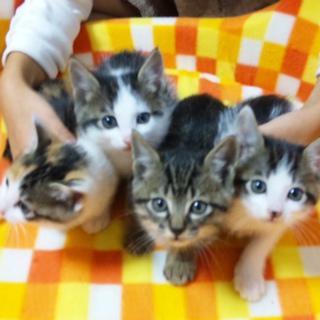 とっても元気です！宜しくお願いします☆