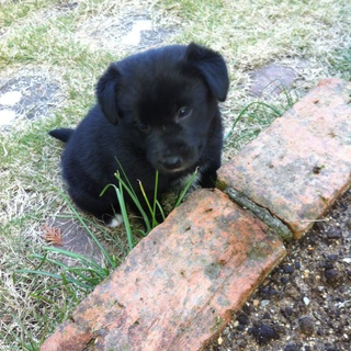 可愛がってくれる人、待ってます！