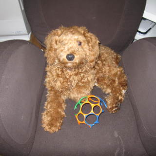 沢山のご連絡ありがとうございました