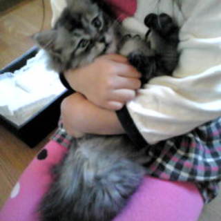 ☆多くのお問い合わせ、ありがとうございました☆