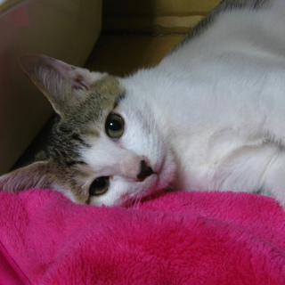 びびり屋さん女の子♪