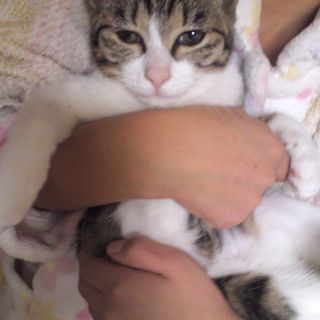 抱っこ大好きミントちゃん。